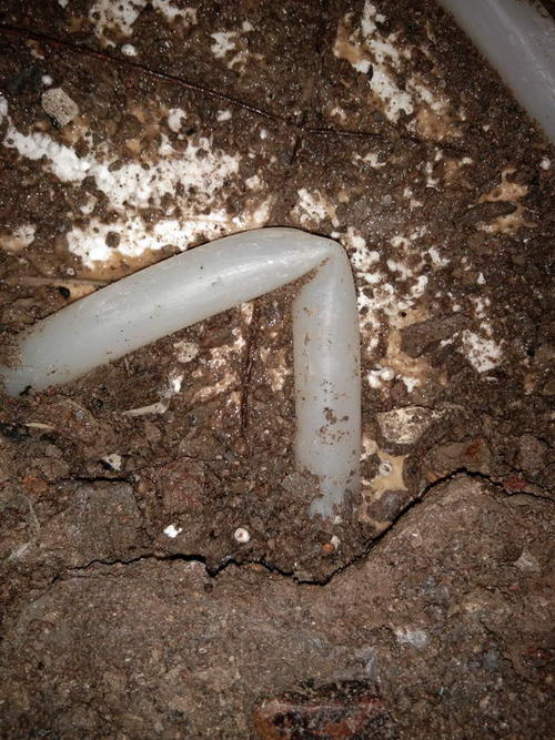 河口堵点精准查找